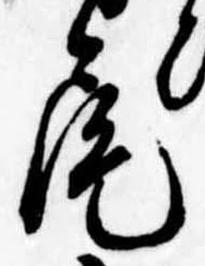 Located 尾