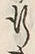 文字 行