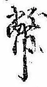Đã định vị 幣