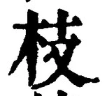 Chữ 枝