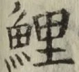 文字鯉