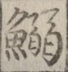 Located 鰯