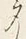 「多」字