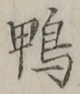 字鴨