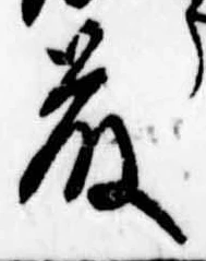 已定位藤