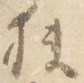 Đã định vị 狭