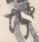 已定位坤