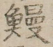 已定位鰻