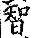 Character 智