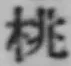 Character 桃