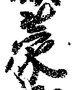 位置定マレル蒙