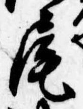 Located 尾