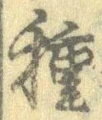 已定位種