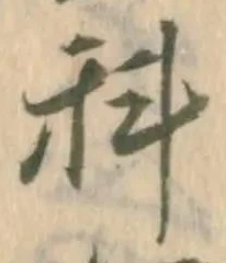 位置定マレル科