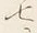 Chữ 月