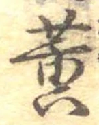 位置定マレル黄