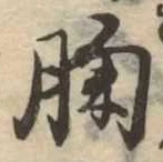 位置定マレル胸