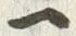「尻」字