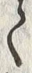 “梵”字