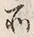 Character 去