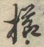 已定位櫛