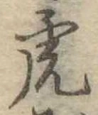 已定位虎