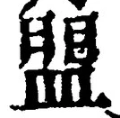 字盟