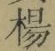 Chữ 楊