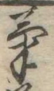 已定位菊