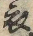 位置 確認된 衣