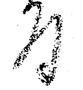 Đã định vị 拝