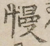Đã định vị 慢