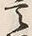 Chữ 語