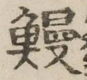 已定位鰻