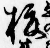 已定位榎