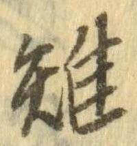Đã định vị 雉
