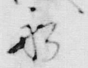 字我