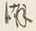 文字潮