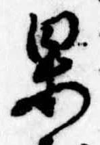 位置定マレル果