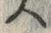 文字指