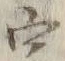 文字 字
