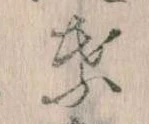 葉の位置