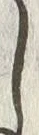 “入”字