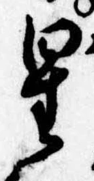 位置 確認된 星