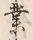 字業