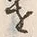 文字剥