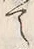 字見