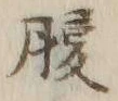 字腹