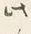 字此