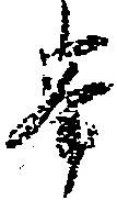 已定位峯